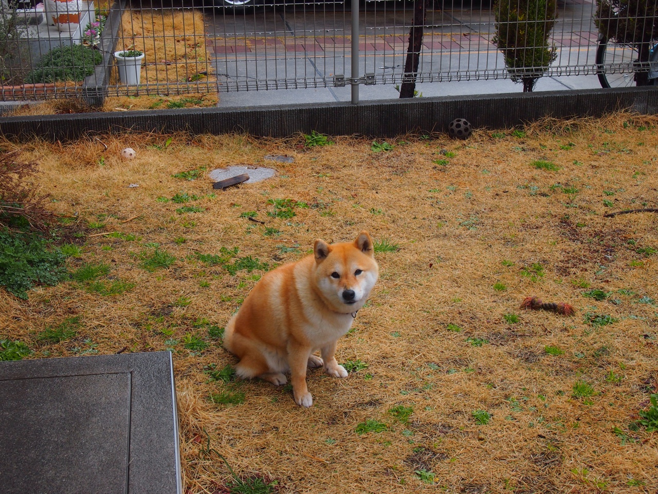 开云体育-卢卡库生涯之夜闪耀意甲，那不勒斯稳操胜券，完胜AC米兰创里程碑